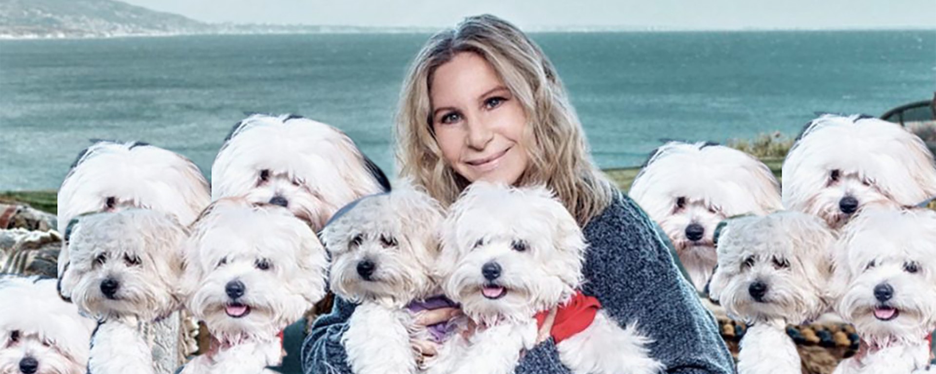 Barbra Streisand holding, and surrounded by, multiple copies of the same dog.
